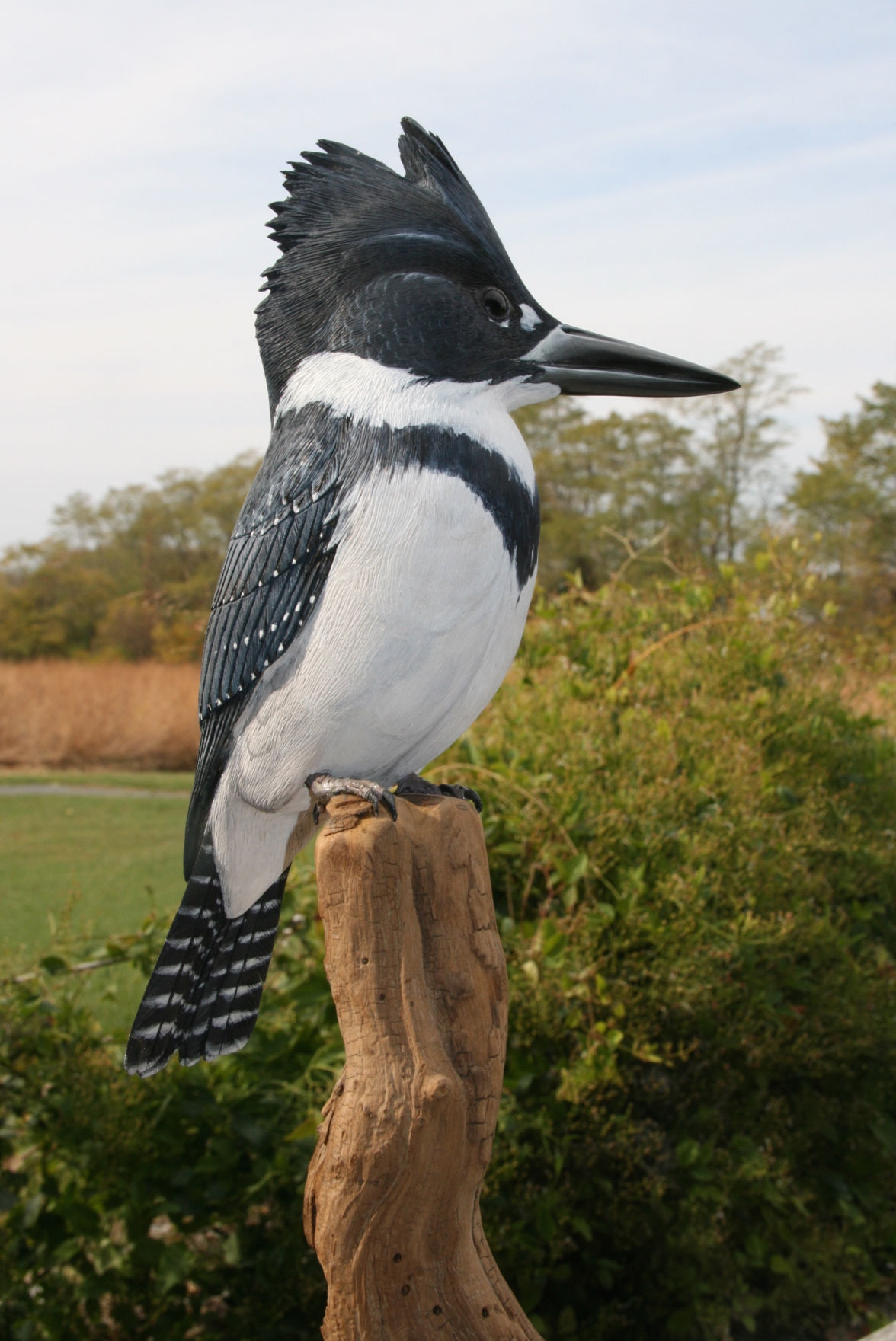 ASRI Bird Carving Kingfisher